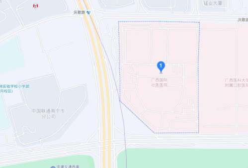 广西国际壮医医院整形科挂号多少钱?医院人气医生难约吗插图2 广西国际壮医医院整形科挂号多少钱?医院人气医生难约吗插图2
