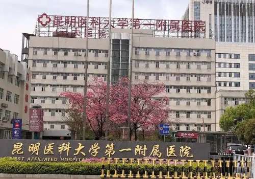 昆明打童颜针多少钱?8000元起,口碑医院以及知识详情分享插图2 昆明打童颜针多少钱?8000元起,口碑医院以及知识详情分享插图2