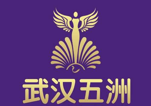 武汉假体隆胸哪家医院便宜？人民医院、五洲医院、亚韩整形等性价比高插图1