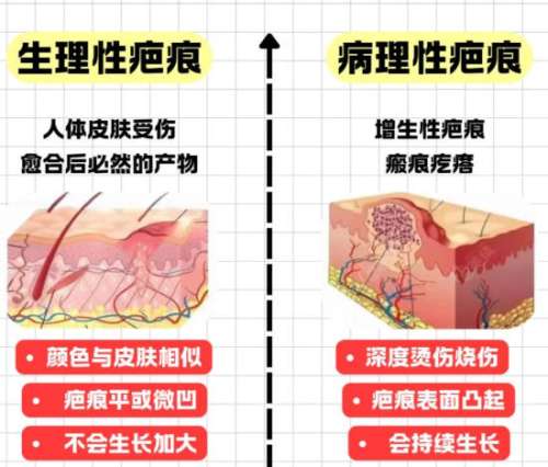 上海第一人民医院贾万新医生简介分享！祛疤、隆胸技术解读！插图1
