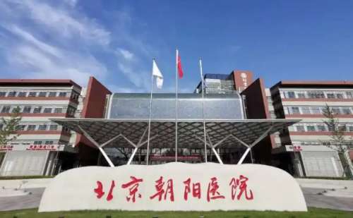 北京朝阳医院曹梅毛发移植技术等级怎么样?心动案例+价格一览表插图 北京朝阳医院曹梅毛发移植技术等级怎么样?心动案例+价格一览表插图