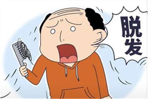 头顶加密一般多少钱?同步价格表,2026年插图2 头顶加密一般多少钱?同步价格表,2026年插图2