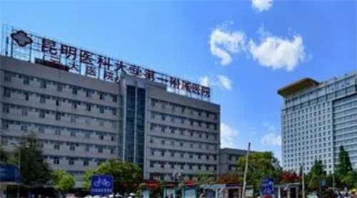 云南假体隆胸多少钱?着眼于常规美胸手术的价位动态插图2 云南假体隆胸多少钱?着眼于常规美胸手术的价位动态插图2