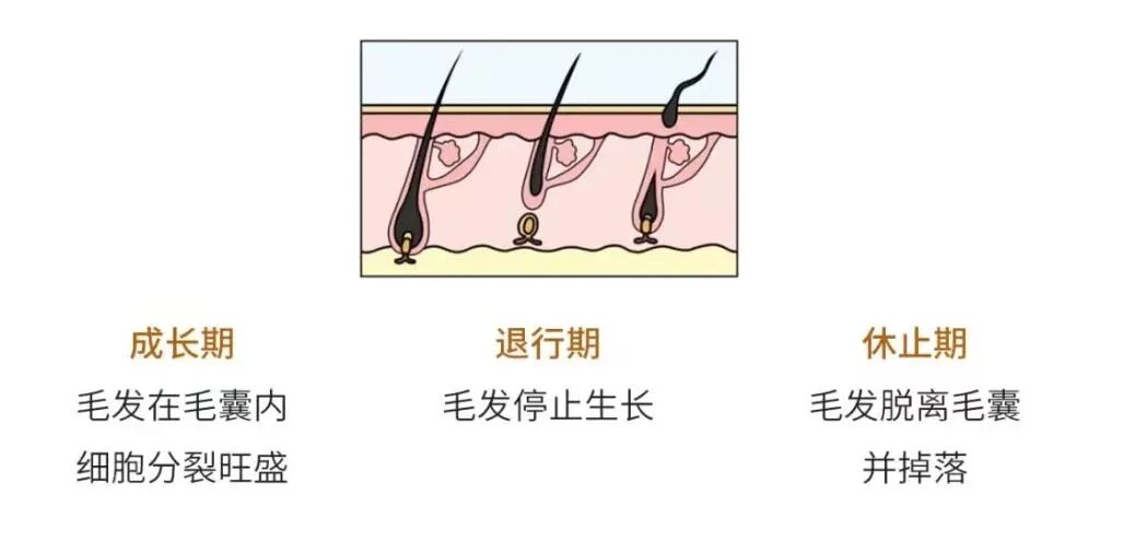 广州做全身脱毛到底要花多少钱?插图 广州做全身脱毛到底要花多少钱?插图