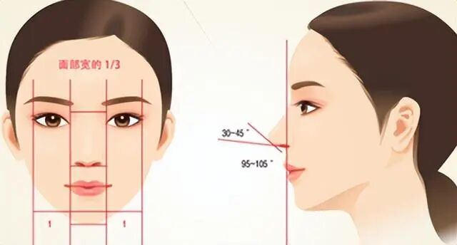 深圳鼻修复价格一般多少钱?手术费用及注意事项插图 深圳鼻修复价格一般多少钱?手术费用及注意事项插图