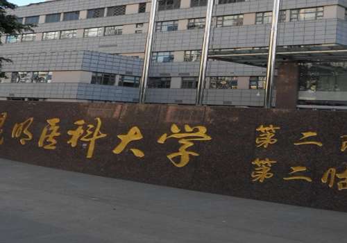 昆明吸脂瘦手臂医院哪家好?这三家医院荣登榜首插图 昆明吸脂瘦手臂医院哪家好?这三家医院荣登榜首插图