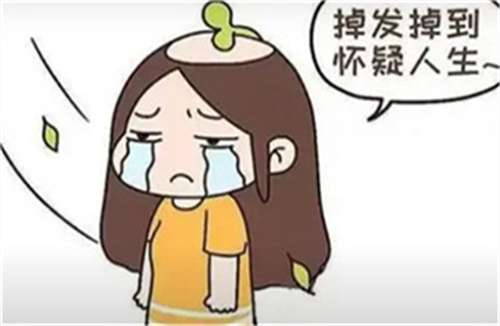 植发影响价格因素有哪些方面?都是按种植单位收费插图1 植发影响价格因素有哪些方面?都是按种植单位收费插图1