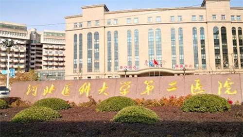 石家庄祛眼袋多少钱?看不同手术方式价格区别插图2 石家庄祛眼袋多少钱?看不同手术方式价格区别插图2