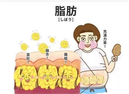 昆明吸脂多少钱?术后护理知识讲解插图2 昆明吸脂多少钱?术后护理知识讲解插图2