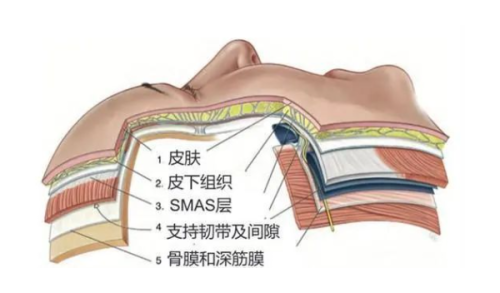 哈尔滨医美抗衰实力排名发布!面部提升看这里插图2 哈尔滨医美抗衰实力排名发布!面部提升看这里插图2