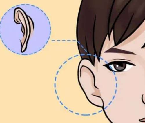 上海艺星整形医院做一只招风耳手术费用高吗?院内坐诊医生及案例分享插图 上海艺星整形医院做一只招风耳手术费用高吗?院内坐诊医生及案例分享插图