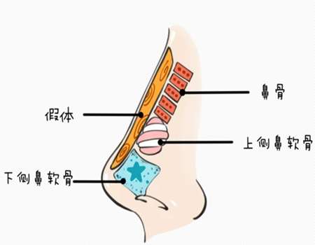 上海华美做鼻子多少钱?医院资料分析,价格影响因素分析插图3 上海华美做鼻子多少钱?医院资料分析,价格影响因素分析插图3