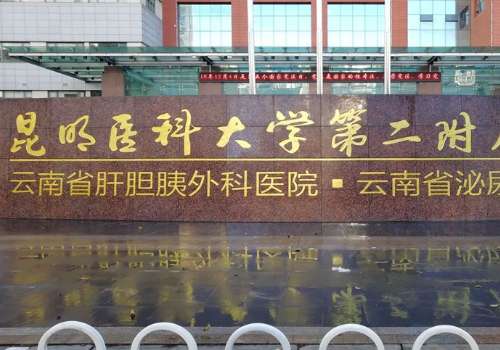 昆明医科大学第二附属医院刘垠自体隆鼻技术风格怎么样?术后90天案例插图 昆明医科大学第二附属医院刘垠自体隆鼻技术风格怎么样?术后90天案例插图