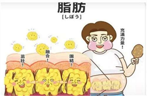 局部抽脂手术价格分析表公布!单部位只需几千元,点击变美插图3 局部抽脂手术价格分析表公布!单部位只需几千元,点击变美插图3