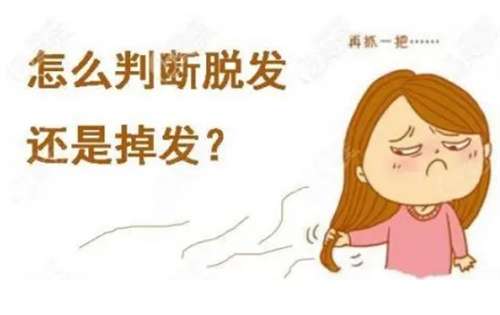 杭州植发价格是多少?看影响价格因素有哪些?插图1 杭州植发价格是多少?看影响价格因素有哪些?插图1