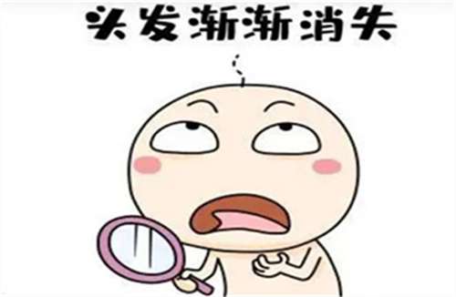头顶加密一般多少钱?同步价格表,2026年插图3 头顶加密一般多少钱?同步价格表,2026年插图3