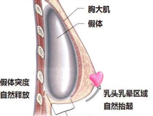 刘永波医生口碑怎么样?胸部整形重庆五洲插图1 刘永波医生口碑怎么样?胸部整形重庆五洲插图1