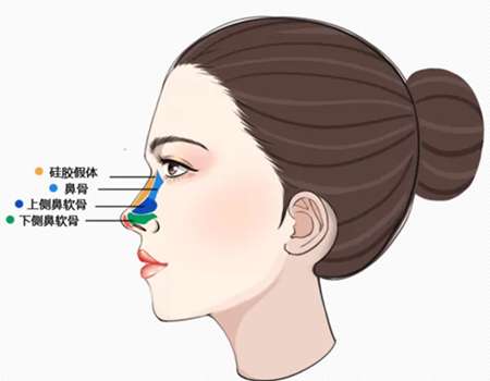 上海华美做鼻子多少钱?医院资料分析,价格影响因素分析插图2 上海华美做鼻子多少钱?医院资料分析,价格影响因素分析插图2