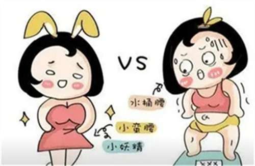 吸脂瘦脸要多少钱?看全新价格汇总,点击查看插图3 吸脂瘦脸要多少钱?看全新价格汇总,点击查看插图3