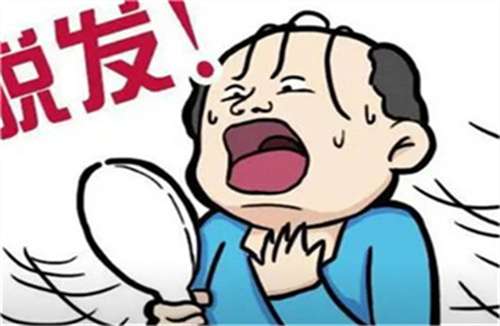 植发种植单位越多越贵吗?2026年费用标准插图2 植发种植单位越多越贵吗?2026年费用标准插图2