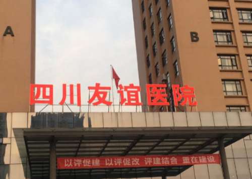 成都雷蕾双眼皮怎么样？初眼与修复实力解析，价格参考