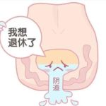 郑大一附院朱莹做私密整形怎么样？注重功能+美学， 紧缩8000元起！