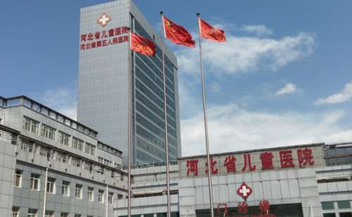 河北省儿童医院张蕴珍招风耳整形90天野生案例(效果怎么样?技术评测)