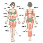 谷廷敏和李春财谁厉害？北京吸脂\抽脂医生评测_价格收费明细(2026新)