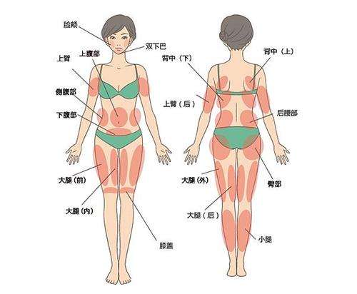 谷廷敏和李春财谁厉害？北京吸脂\抽脂医生评测_价格收费明细(2026新)