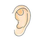 八大处于晓波做耳再造怎么样？三维雕塑+自然逼真、满意度高！