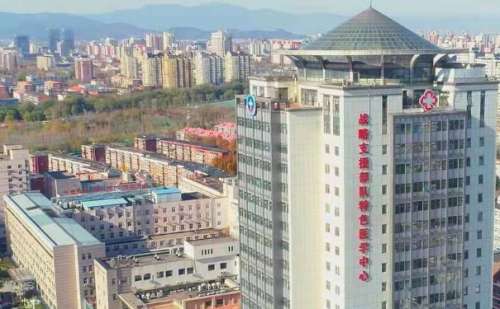 战略支援部队特色医学中心米霞脸部提升手术案例变化&技术怎么样?
