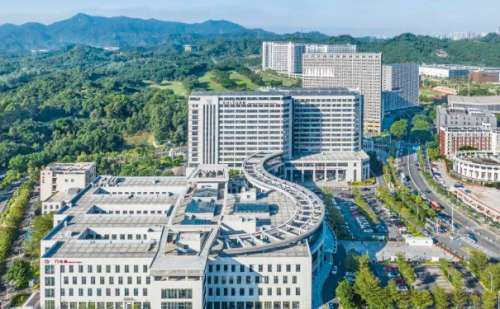 深圳大学总医院丰泪沟案例分析