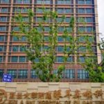 上海眼耳鼻喉科医院童华光子去红血丝技术等级怎么样?术后90天案例