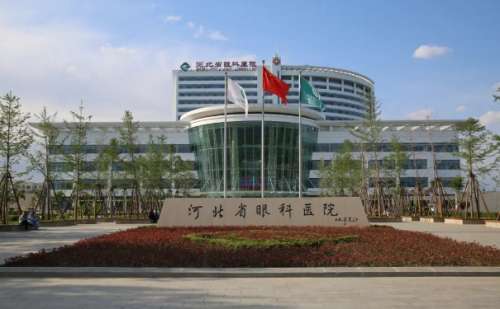 河北省眼科医院王健民打玻尿酸一年案例分析