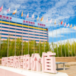 师俊莉做鼻子案例分析