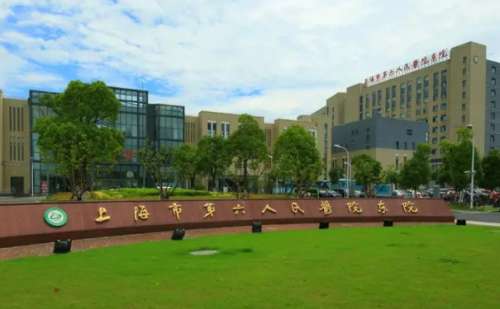 上海市第六人民医院植发技术怎么样?价格查询?医院优势