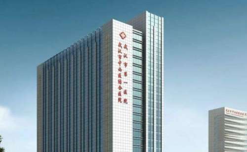 武汉市中西医结合医院杨凡方隆鼻整形案例分析