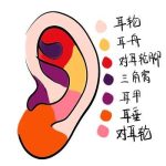 董立维小耳再造如何？很好！2026年新价格表+真人案例分享
