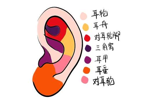 董立维小耳再造如何？很好！2026年新价格表+真人案例分享