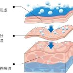 面部填充的价格是多少？面部填充的并发症术前要清楚