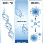 长沙玻尿酸溶解价格是多少？一针多少钱才合理？