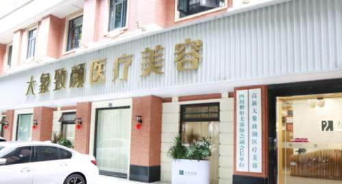 成都大象致颜医美收费价格表揭晓！戳进来看真实的用户口碑
