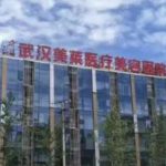 武汉美莱脱毛医生报告