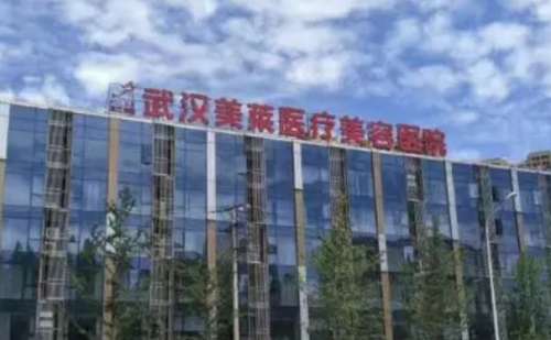 武汉美莱脱毛医生报告