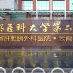 昆明医科大学第二附属医院刘垠自体隆鼻技术风格怎么样?术后90天案例