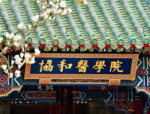 北京协和脂肪填充价格是多少？部位不同价格差出一大截，赶紧看