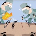 植发种植单位越多越贵吗？2026年费用标准