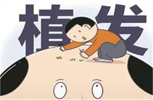 发际线种植多少钱一个单位？轻松恢复颜值，打造自然风