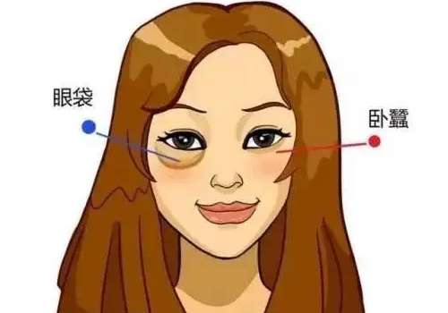 上海第九人民医院做眼袋多少钱?不同术式收费与恢复期详解