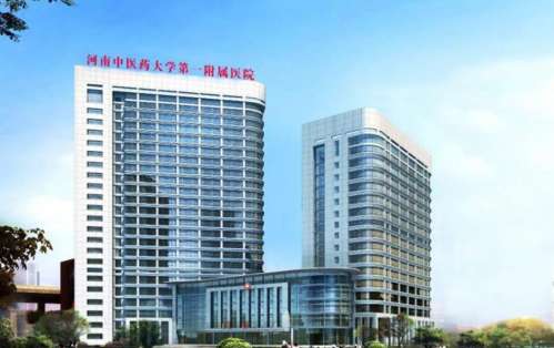 河南中医药大学第一附属医院整形美容科各项收费标准|附祛斑案例图